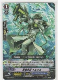 蒼嵐水将 ヘルメス　C